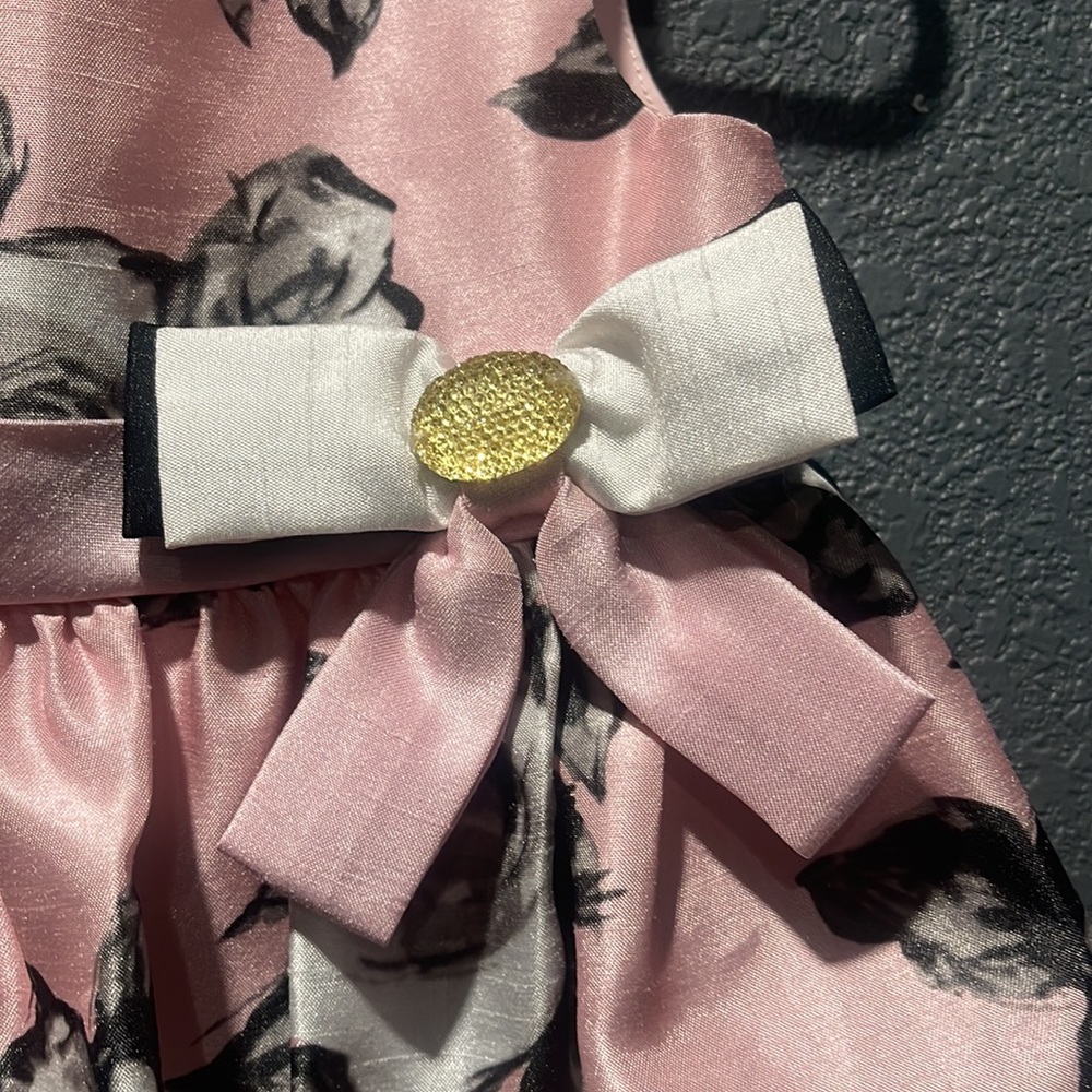 Dress - Picture 2 of 3